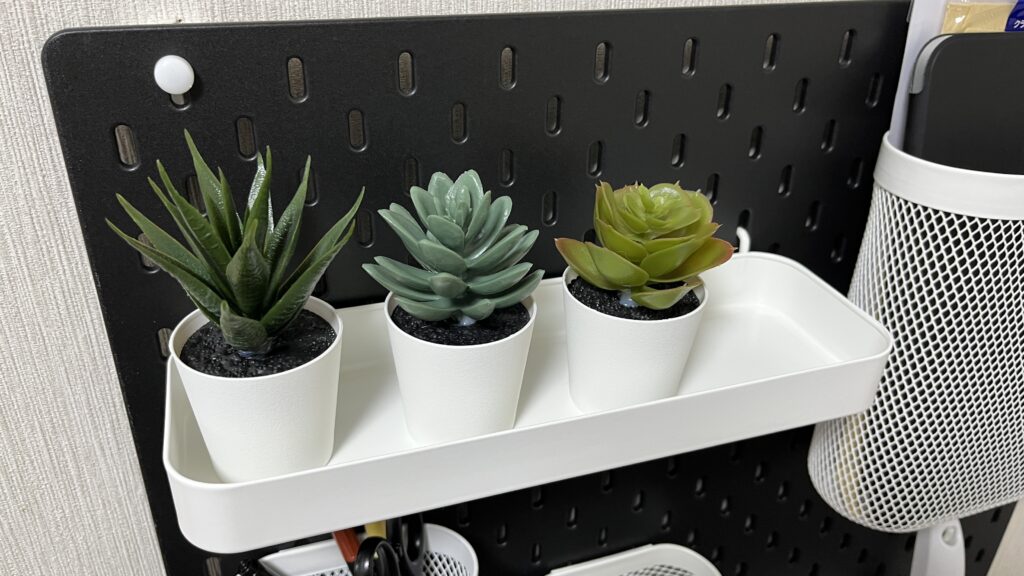 スコーディス シェルフ フェイカ 多肉植物