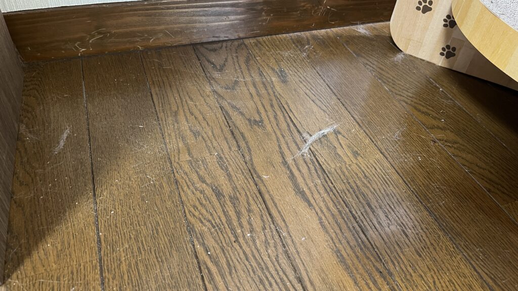 猫壱 バリバリボウルタワー XL 使ってみた 感想 レビュー 寝床 爪とぎ 夏 冬