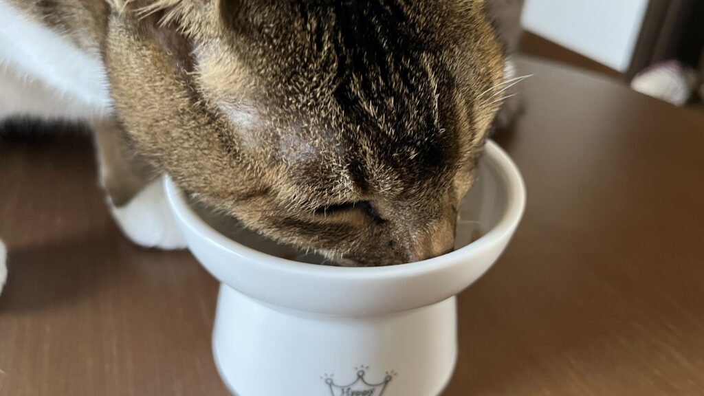 国産 無添加 猫用おやつ にゃっち ミャオグルメ チキン まぐろ かつお レビュー 感想