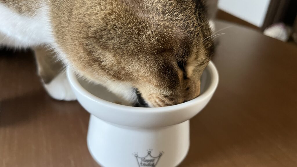 国産 無添加 猫用おやつ にゃっち ミャオグルメ チキン まぐろ かつお レビュー 感想