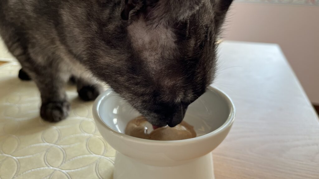 国産 無添加 猫用おやつ にゃっち ミャオグルメ チキン まぐろ かつお レビュー 感想