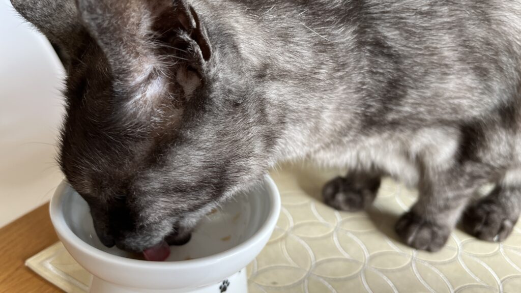 国産 無添加 猫用おやつ にゃっち ミャオグルメ チキン まぐろ かつお レビュー 感想