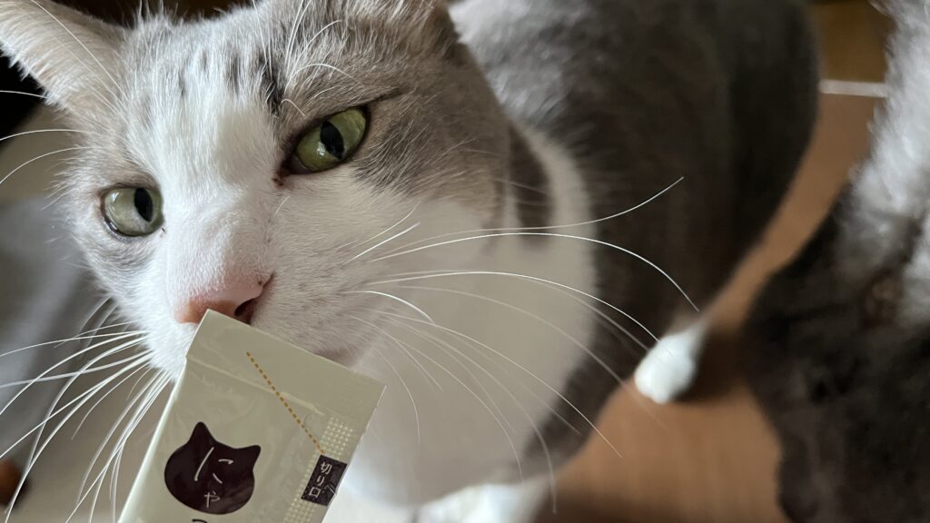 国産 無添加 猫用おやつ にゃっち ミャオグルメ チキン まぐろ かつお レビュー 感想