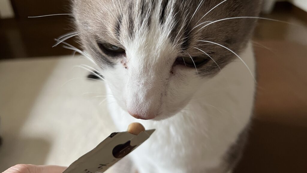 国産 無添加 猫用おやつ にゃっち ミャオグルメ チキン まぐろ かつお レビュー 感想