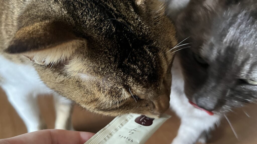 国産 無添加 猫用おやつ にゃっち ミャオグルメ チキン まぐろ かつお レビュー 感想