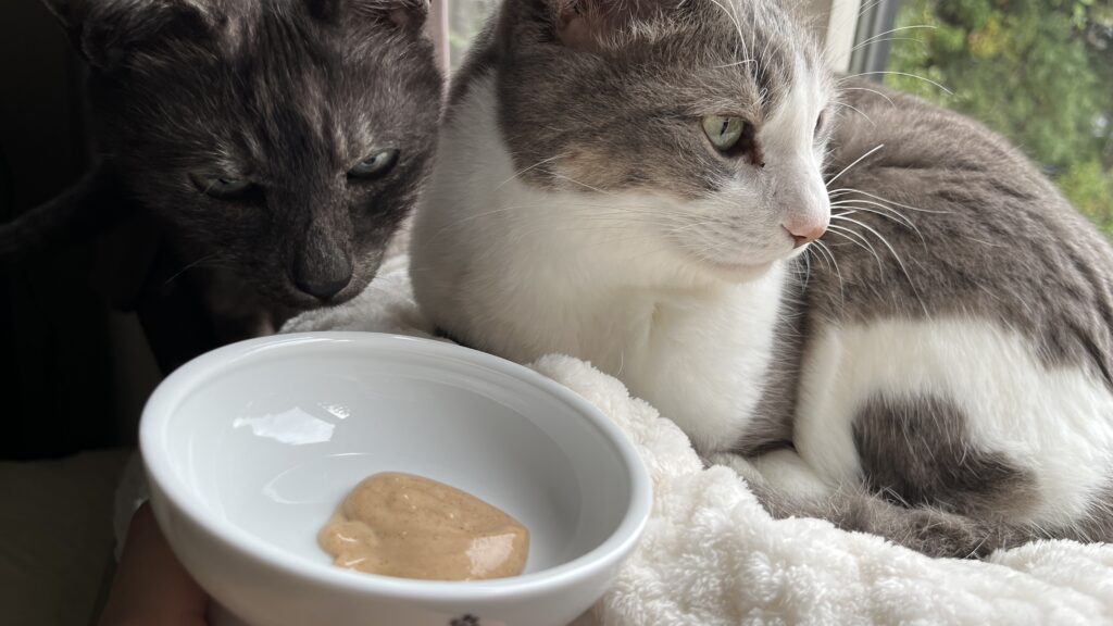 国産 無添加 猫用おやつ にゃっち ミャオグルメ チキン まぐろ かつお レビュー 感想 食べない 食べなかった