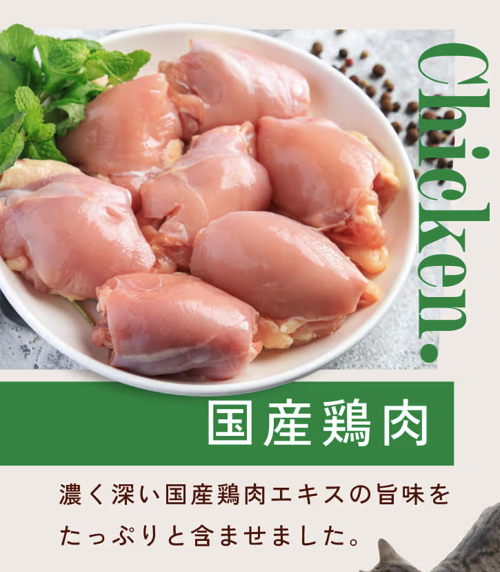 ねこまたの実 レビュー 感想 反応 さくらフォレスト 猫 腎臓 サプリ ケア サポート