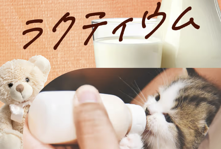 ねこまたの実 レビュー 感想 反応 さくらフォレスト 猫 腎臓 サプリ ケア サポート