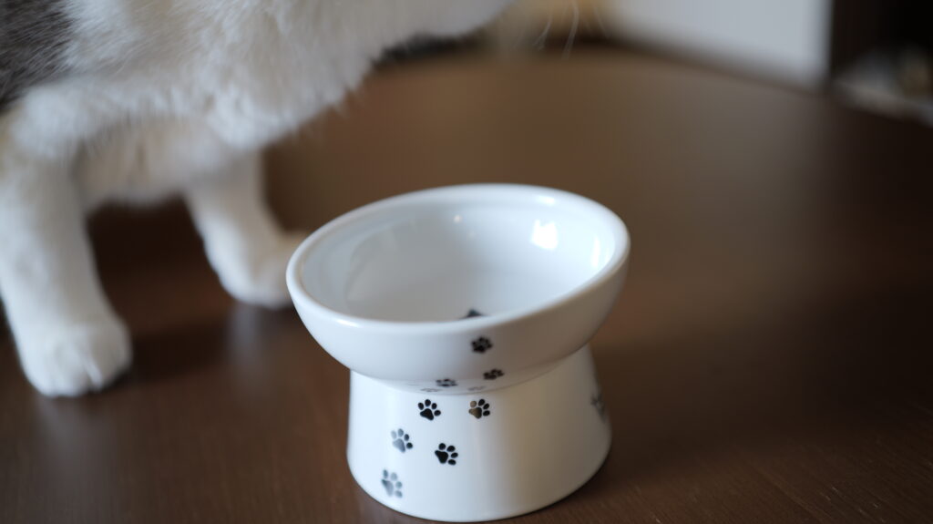 ねこまたの実 レビュー 感想 反応 さくらフォレスト 猫 腎臓 サプリ ケア サポート