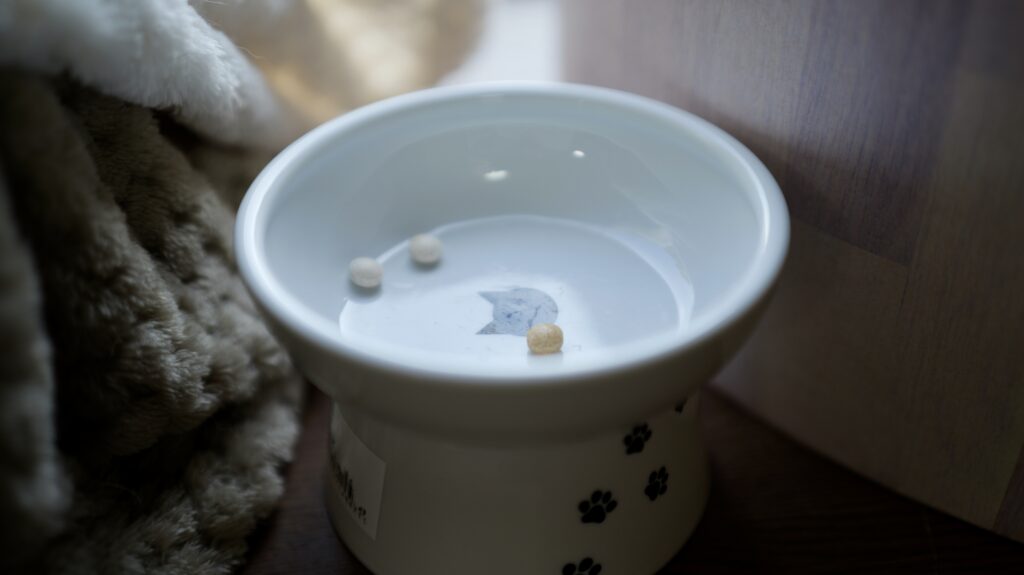 ねこまたの実 レビュー 感想 反応 さくらフォレスト 猫 腎臓 サプリ ケア サポート