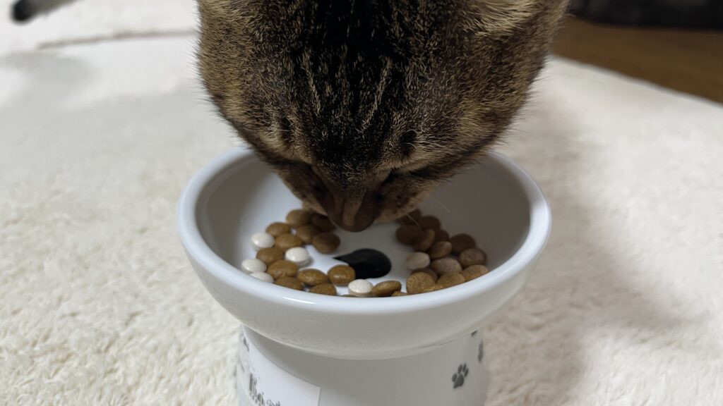 ねこまたの実 レビュー 感想 反応 さくらフォレスト 猫 腎臓 サプリ ケア サポート