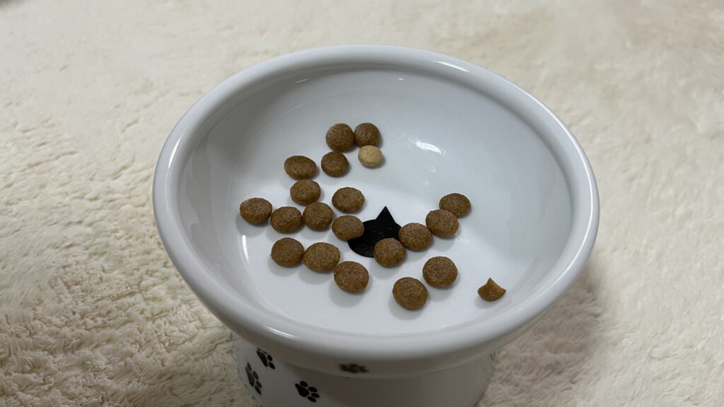 ねこまたの実 レビュー 感想 反応 さくらフォレスト 猫 腎臓 サプリ ケア サポート