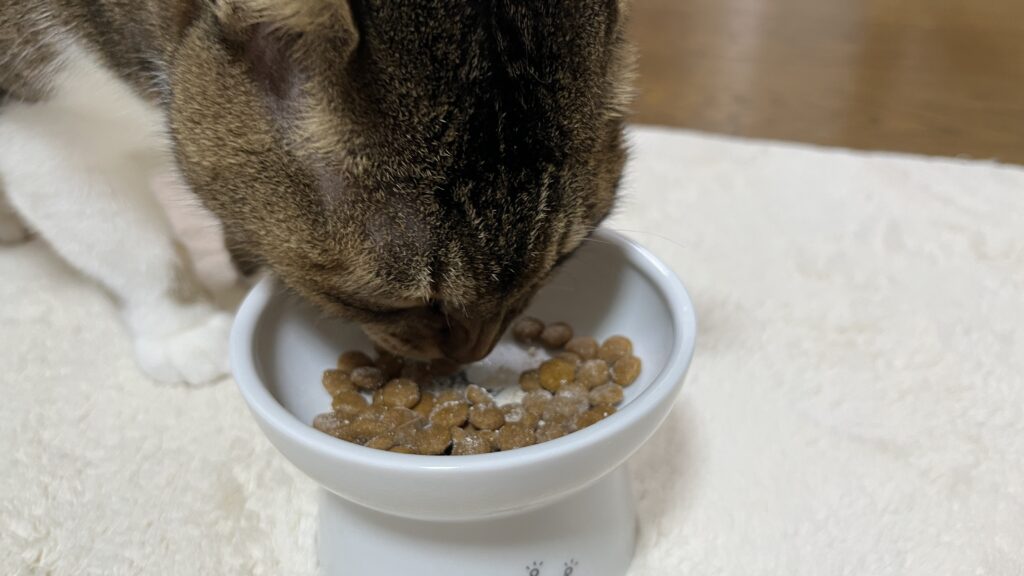 ねこまたの実 レビュー 感想 反応 さくらフォレスト 猫 腎臓 サプリ ケア サポート