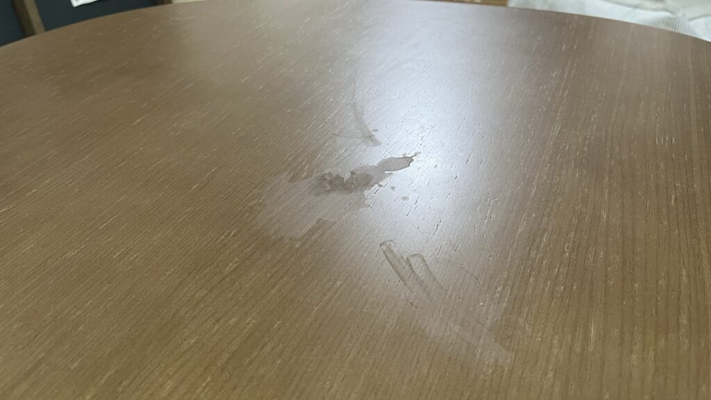 マモッシュ mamoshu 消臭 除菌 スプレー 猫 犬 ペット 感想 まとめ レビュー 使った