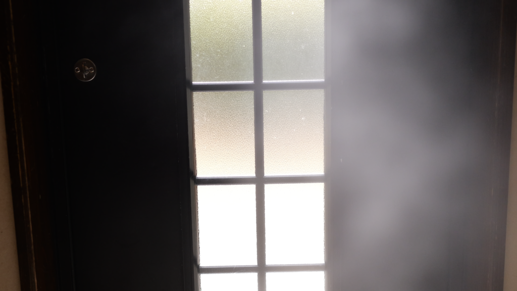 マモッシュ mamoshu 消臭 除菌 スプレー 猫 犬 ペット 感想 まとめ レビュー 使った