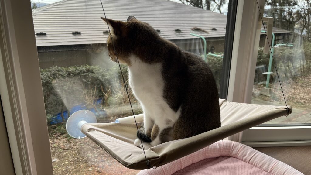 猫 窓用ハンモック ワイヤー