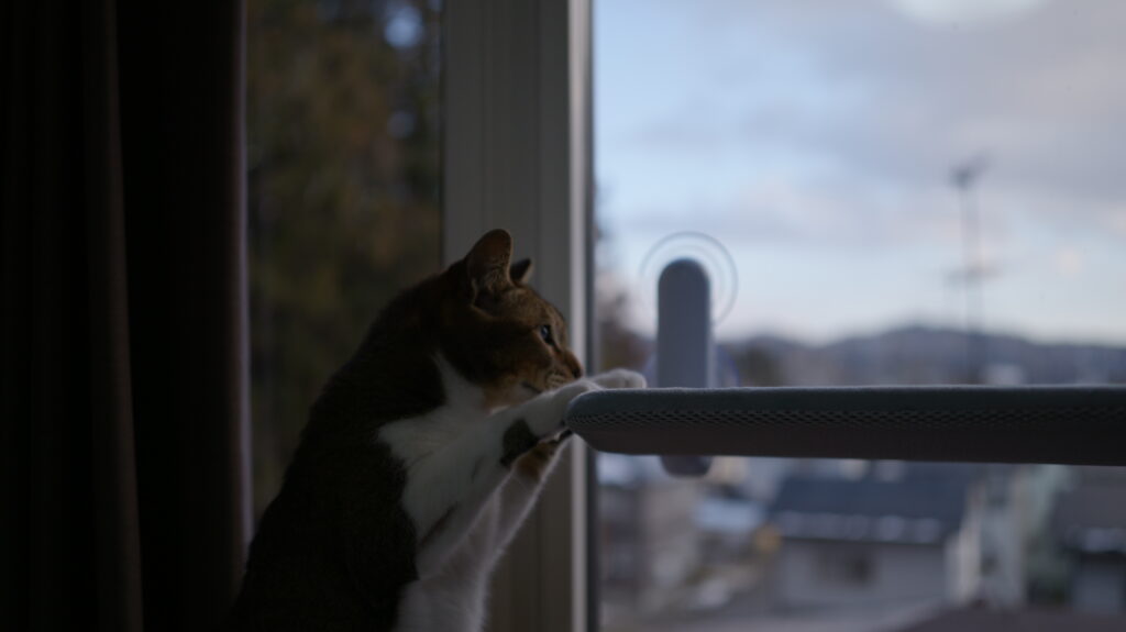 Konshun 公式オリジナル正規品 猫 窓用  ハンモック 窓 ベッド 強力 大型 吸盤式 猫