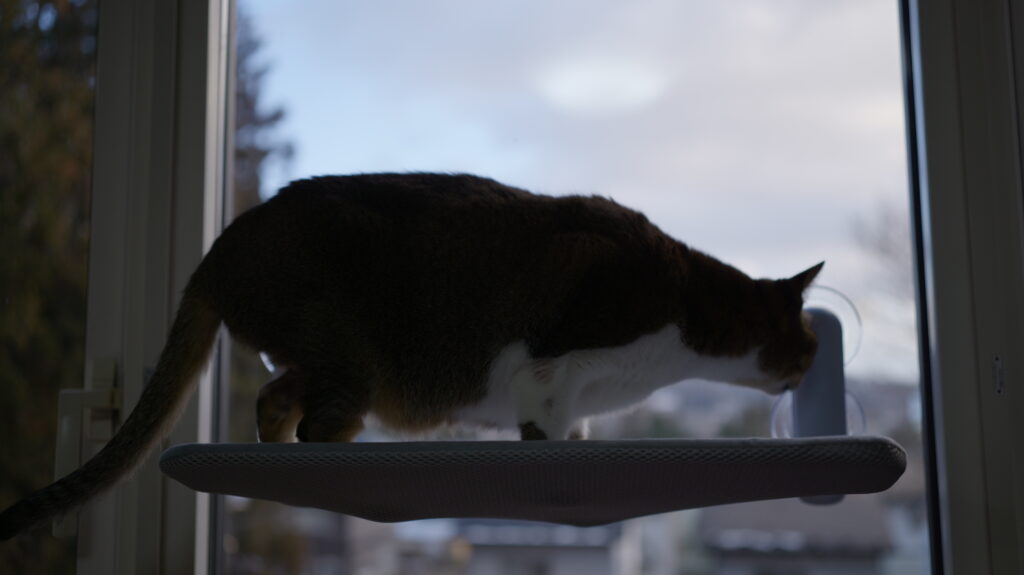 Konshun 公式オリジナル正規品 猫 窓用  ハンモック 窓 ベッド 強力 大型 吸盤式 猫