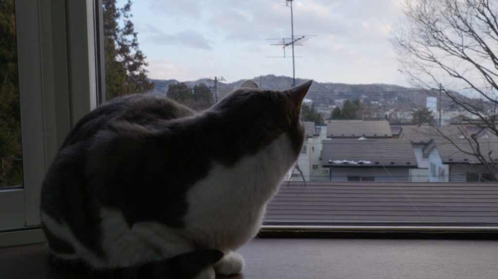 Konshun 公式オリジナル正規品 猫 窓用  ハンモック 窓 ベッド 強力 大型 吸盤式 猫