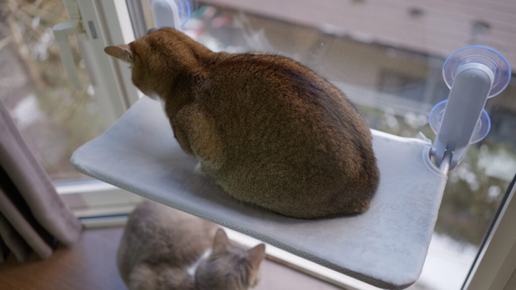 Konshun 公式オリジナル正規品 猫 窓用  ハンモック 窓 ベッド 強力 大型 吸盤式 猫