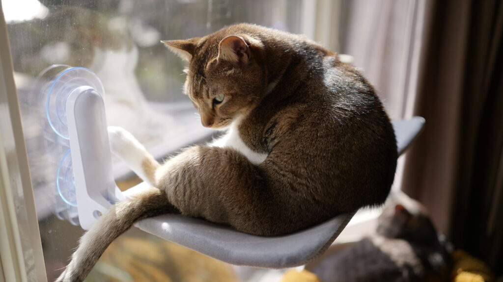 Konshun 公式オリジナル正規品 猫 窓用  ハンモック 窓 ベッド 強力 大型 吸盤式 猫