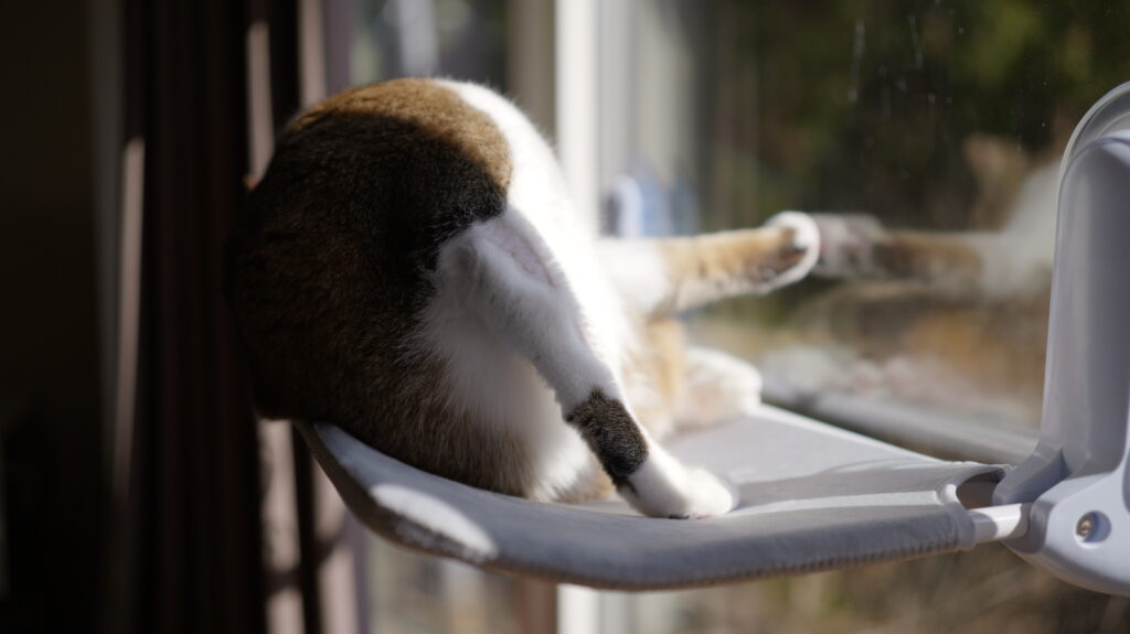 Konshun 公式オリジナル正規品 猫 窓用  ハンモック 窓 ベッド 強力 大型 吸盤式 猫