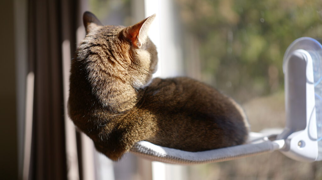 Konshun 公式オリジナル正規品 猫 窓用  ハンモック 窓 ベッド 強力 大型 吸盤式 猫