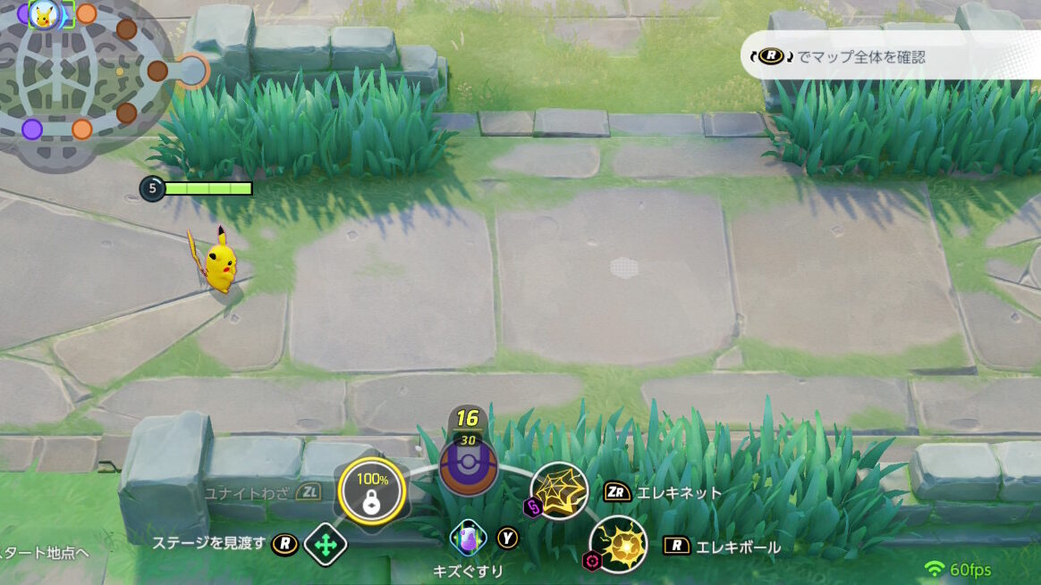 ポケモンユナイト pokemon unite 視界取り