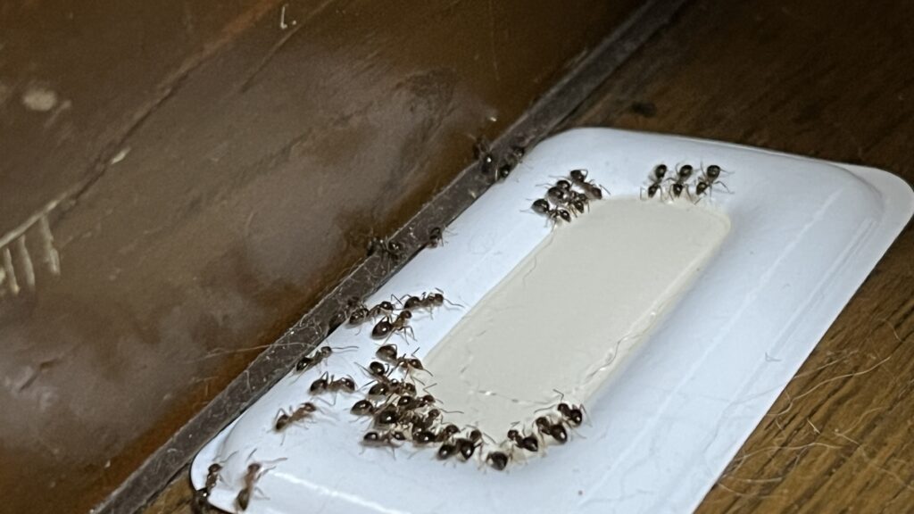 アリメツ アリ 駆除 退治 殺虫剤 ベイト剤 対策